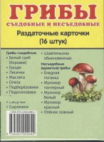 Раздаточные карточки "Грибы съедобные и не съедобные" - fgospostavki.ru - Уфа