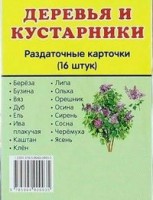 Раздаточные карточки "Деревья и кустарники" - fgospostavki.ru - Уфа