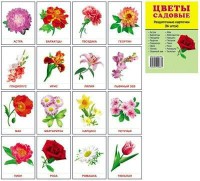 Раздаточные карточки "Цветы садовые" - fgospostavki.ru - Уфа