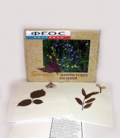 Гербарий "Дикорастущие растения" (28 видов) - fgospostavki.ru - Уфа