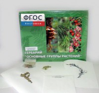 Гербарий "Основные группы растений" (52 листа) - fgospostavki.ru - Уфа