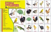 Демонстрационные карточки "Птицы домашние и декоративные" - fgospostavki.ru - Уфа