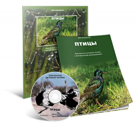 Электронное наглядное пособие «Птицы» - fgospostavki.ru - Уфа