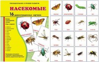 Демонстрационные карточки "Насекомые" - fgospostavki.ru - Уфа