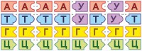 Модель-аппликация Удвоение ДНК и транскрипция РНК - fgospostavki.ru - Уфа