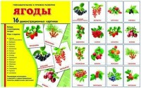 Демонстрационные карточки "Ягоды" - fgospostavki.ru - Уфа
