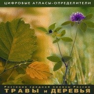 Растения средней полосы России "Травы и Деревья". (Цифровые атласы-определители) - fgospostavki.ru - Уфа