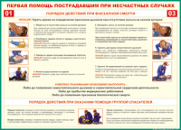Таблица "Порядок действий при внезапной смерти" (100х140 сантиметров, винил) - fgospostavki.ru - Уфа