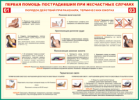 Таблица "Порядок действий при ранениях и термических ожогах" (100х140 сантиметров, винил) - fgospostavki.ru - Уфа