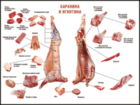 Таблица "Правила разделки мясных туш. Баранина и ягнятина" (100х140 сантиметров, винил) - fgospostavki.ru - Уфа