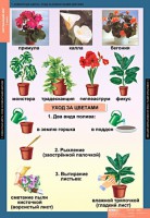 Комплект таблиц. Окружающий мир 1 класс. - fgospostavki.ru - Уфа