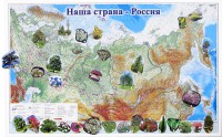 Магнитные карточки "Растения" - fgospostavki.ru - Уфа