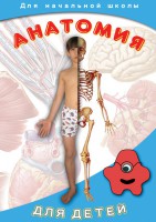 DVD "Анатомия для детей" - fgospostavki.ru - Уфа