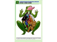 Рельефная таблица "Внутреннее строение лягушки" (формат А1, матовое ламинирование) - fgospostavki.ru - Уфа