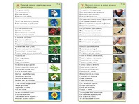 Комплект карточек (10) "Обучающий калейдоскоп. Природа" - fgospostavki.ru - Уфа