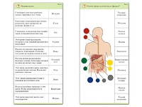 Комплект карточек (10) "Обучающий калейдоскоп. Человек" - fgospostavki.ru - Уфа