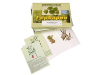 Гербарий "Для начальной школы" (30 видов, с иллюстрациями) - fgospostavki.ru - Уфа