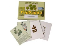 Гербарий "Деревья и кустарники" (22 вида, с иллюстрациями) - fgospostavki.ru - Уфа