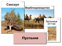Модель-аппликация "Природные зоны России" (ламинированная) - fgospostavki.ru - Уфа