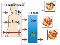 Модель-аппликация "Явление радиоактивности" (ламинированная) - fgospostavki.ru - Уфа