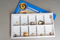 Коллекция "Раковины моллюсков" - fgospostavki.ru - Уфа