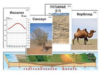 Модель-аппликация "Природные зоны" - fgospostavki.ru - Уфа