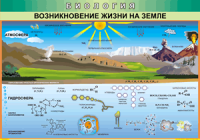 Таблица "Возникновение жизни на земле" (100х140 сантиметров, винил) - fgospostavki.ru - Уфа