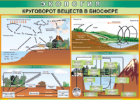 Таблица "Круговорот веществ в биосфере" (100х140 сантиметров, винил) - fgospostavki.ru - Уфа