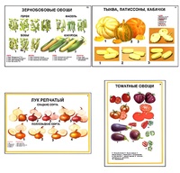 Плакаты ПРОФТЕХ "Ассортимент овощных культур" (12 пл, винил, 70х100) - fgospostavki.ru - Уфа