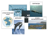 Модель-аппликация "Океаны. Знакомство" (ламинированная) - fgospostavki.ru - Уфа