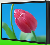 Киоск информационный настенный сенсорный 27" (вариант 1) - fgospostavki.ru - Уфа