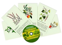 Интерактивный наглядный комплекс "Гербарий "Для начальной школы" - fgospostavki.ru - Уфа