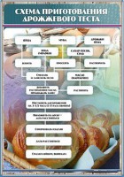 Стенд "Схема приготовления дрожжевого теста" - fgospostavki.ru - Уфа