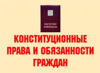 Комплект плакатов "Конституционные права и обязанности граждан" - fgospostavki.ru - Уфа