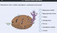 Интерактивные курсы. Биология 6 класс. Расширенный - fgospostavki.ru - Уфа