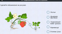 Интерактивные курсы. Биология 7 класс. Расширенный. - fgospostavki.ru - Уфа