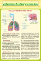 Стенд "Дыхательная система" - fgospostavki.ru - Уфа