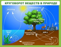 Стенд "Круговорот веществ" - fgospostavki.ru - Уфа