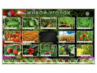 Комплект оборудования "Живой уголок" (растения) - fgospostavki.ru - Уфа