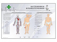 Электрифицированный стенд "Остановка кровотечения" - fgospostavki.ru - Уфа