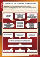 Комплект таблиц. ОБЖ. Здоровый образ жизни. - fgospostavki.ru - Уфа