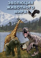 DVD "Эволюция животного мира" - fgospostavki.ru - Уфа