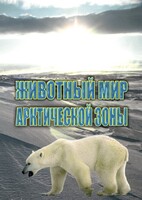 DVD "Животный мир Арктической зоны" - fgospostavki.ru - Уфа