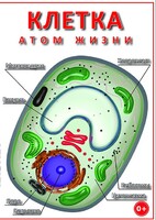 DVD "Клетка - "атом жизни" - fgospostavki.ru - Уфа