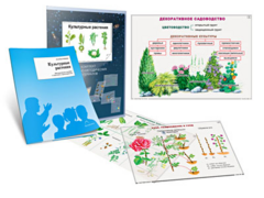 Комплект кодотранспарантов "Культурные растения" - fgospostavki.ru - Уфа