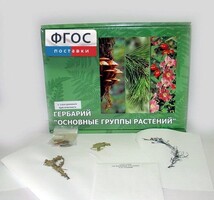 Гербарий "Основные группы растений" (52 листа) - fgospostavki.ru - Уфа