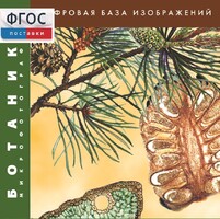Ботаника. Микрофотографии. (Цифровая база изображений) - fgospostavki.ru - Уфа