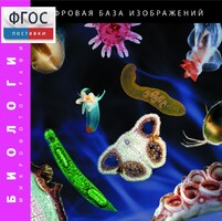Биология. Микрофотографии. (Цифровая база изображений) - fgospostavki.ru - Уфа