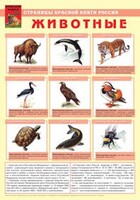 Комплект плакатов "Красная Книга России (животные, растения)" - fgospostavki.ru - Уфа