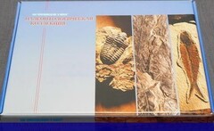 Коллекция "Палеонтологическая" (16 образцов) - fgospostavki.ru - Уфа